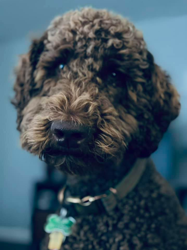 Charlie